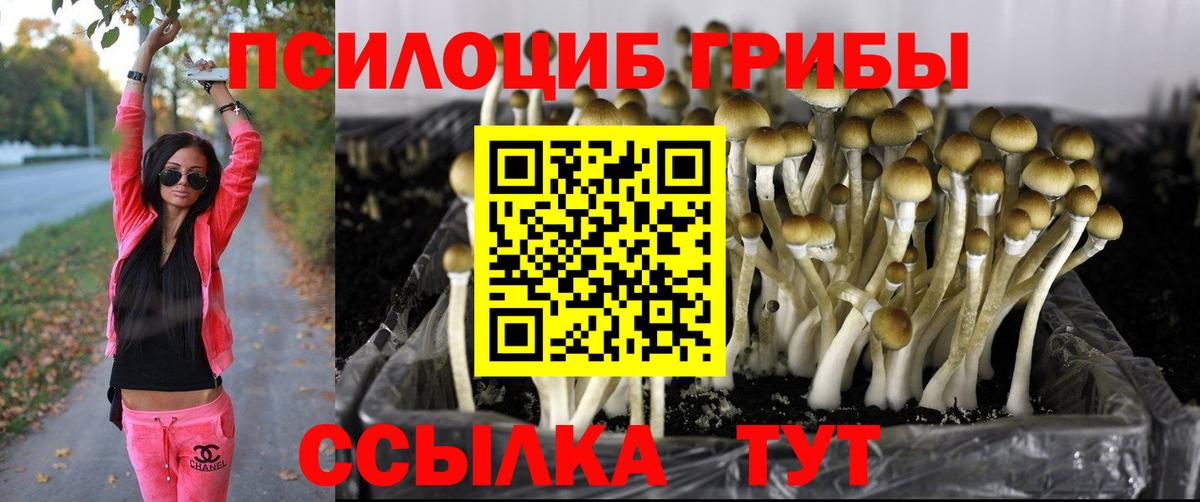 Псилоцибиновые грибы Magic Shrooms Волгоград